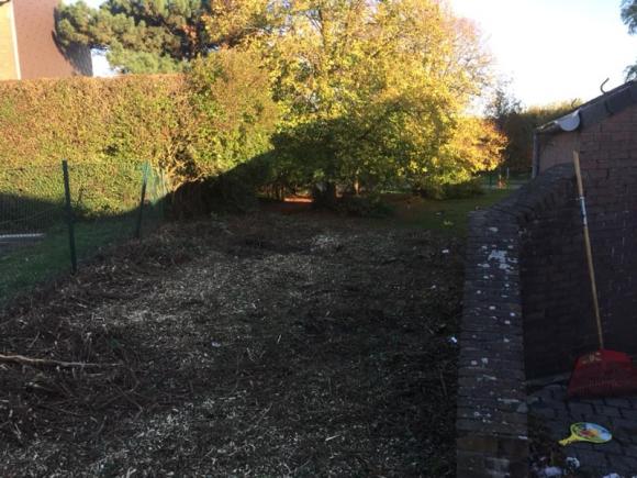 Rognage au dessouchage