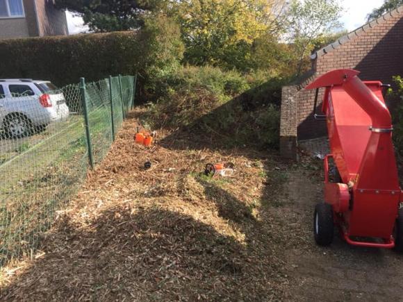 chantier de dessouchage