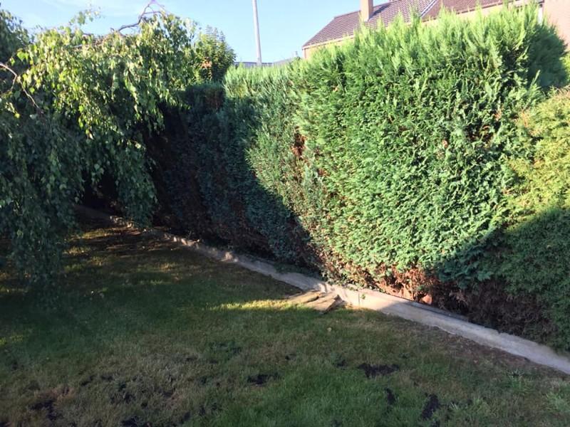 jardinage sur mesure