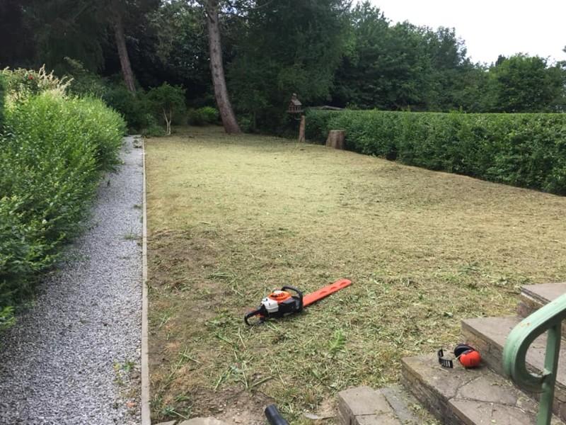 Création et tonte de pelouse