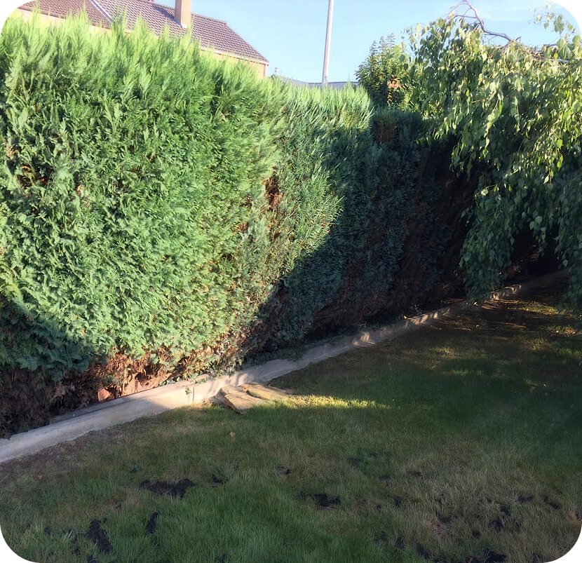 Jardinage à Châtelet