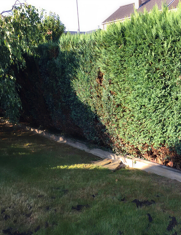 Entretien pour espaces verts